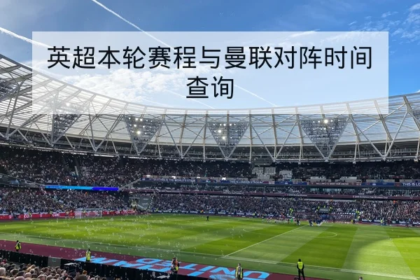 英超球员伤停动态与替补登场概率更新查询